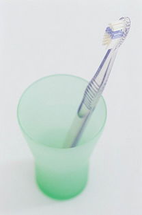 生活日用品素材全攻略 从图片、背景到模板的一站式解决方案