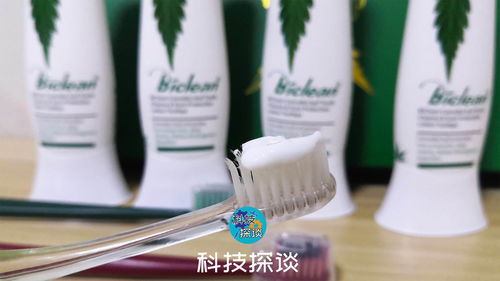 精致男孩的日常必备 纸巾与牙膏的精选指南